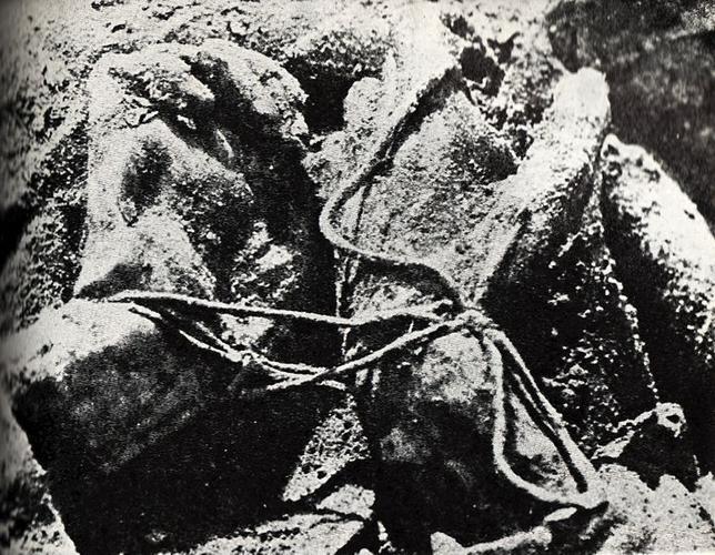 米兰体育入口-关于马拉卡纳惨案：1950年世界杯的悲剧的信息