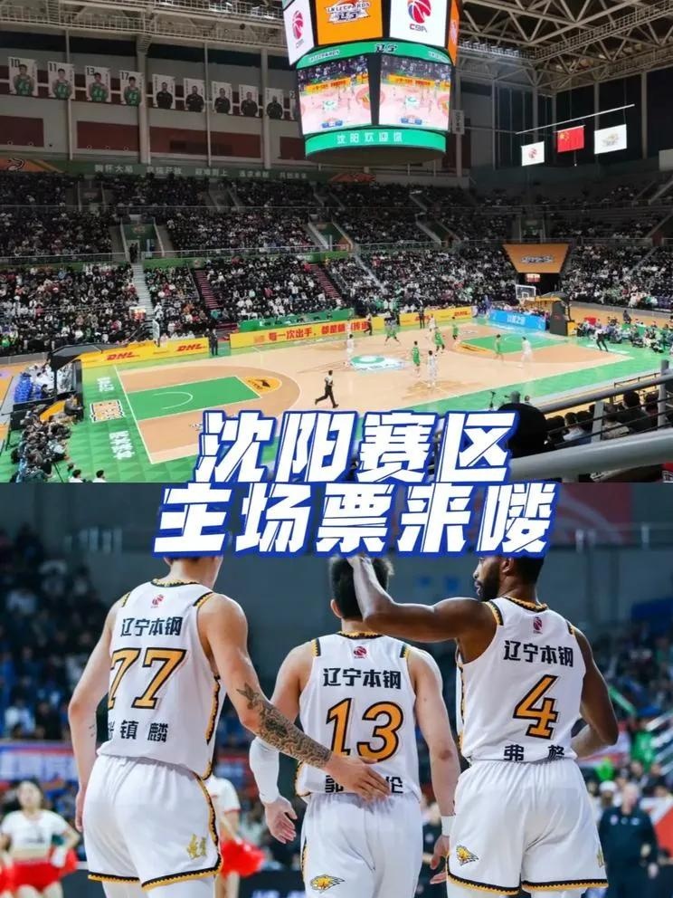 CBA新赛季：谁能挑战辽宁王朝？