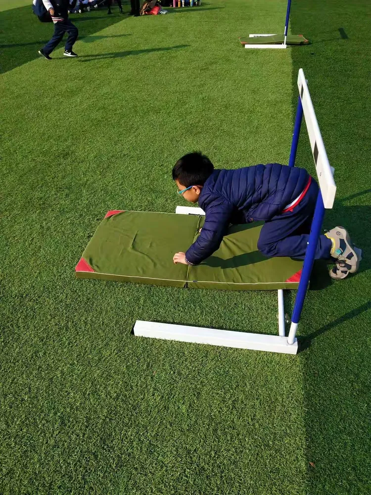 米兰体育app官网入口-各国体育强项分析图鉴